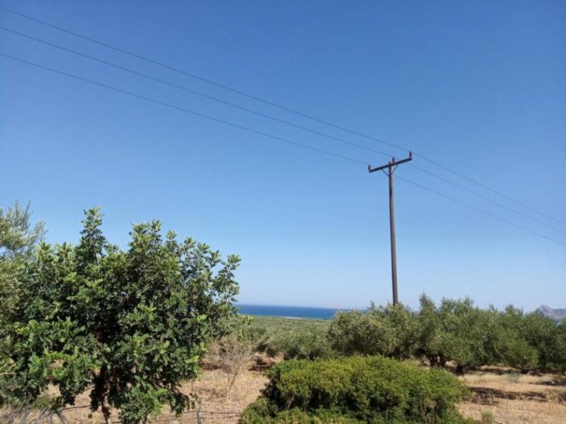 Kissamos Grundstück in der Nähe des Strandes von Falassarna Grundstück kaufen